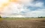 cultivated-field-sunset_1232-860